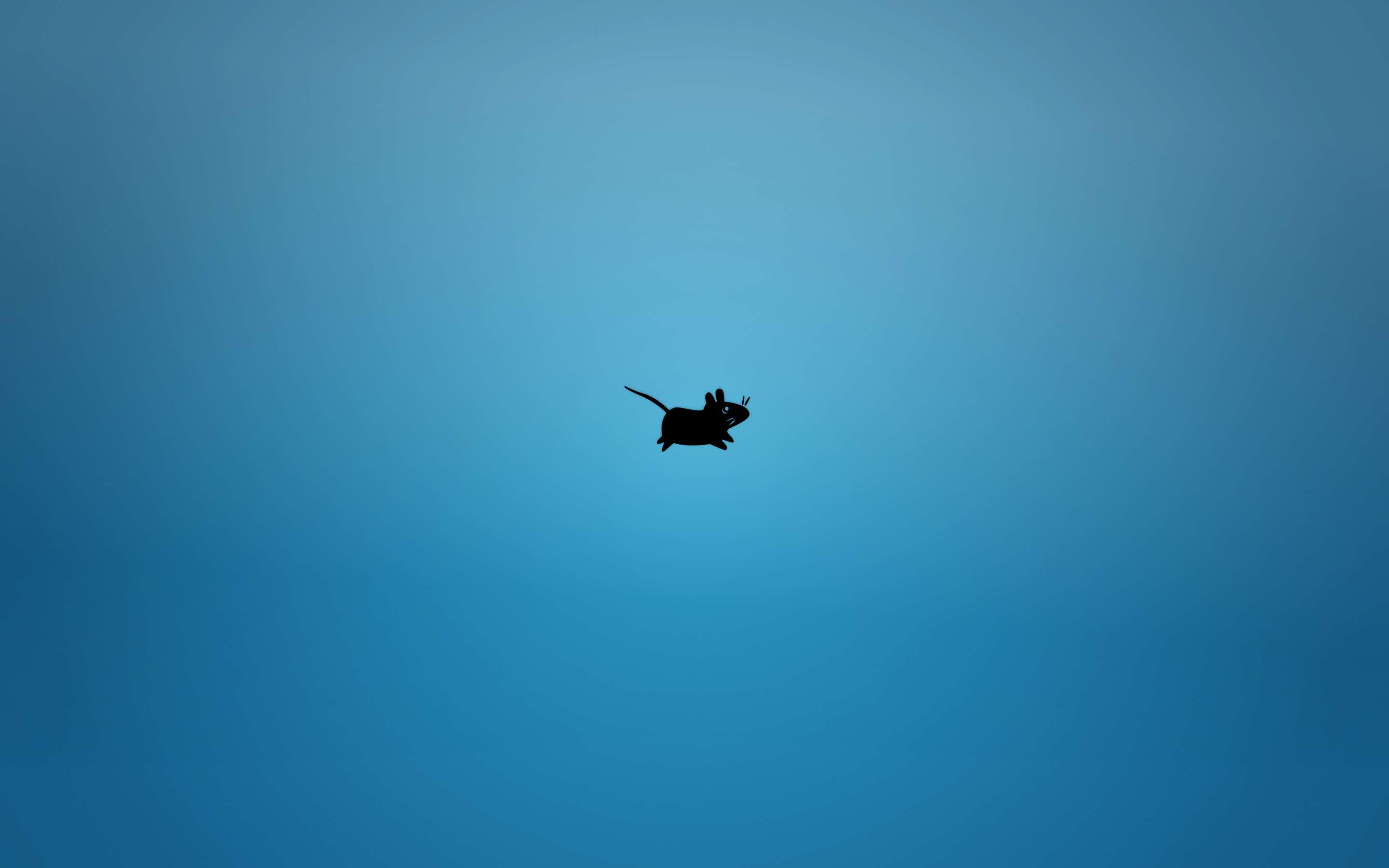 Wallpaper 13